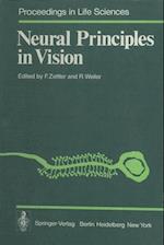 Neural Principles in Vision