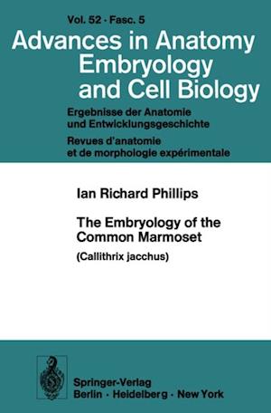 Embryology of the Common Marmoset