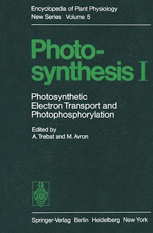 Photosynthesis I