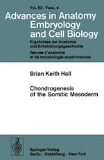 Chondrogenesis of the Somitic Mesoderm