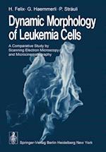 Dynamic Morphology of Leukemia Cells