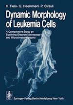 Dynamic Morphology of Leukemia Cells