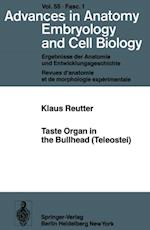 Taste Organ in the Bullhead (Teleostei)
