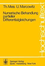 Numerische Behandlung partieller Differentialgleichungen