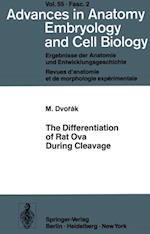 Differentiation of Rat Ova During Cleavage