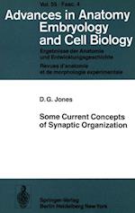 Some Current Concepts of Synaptic Organization