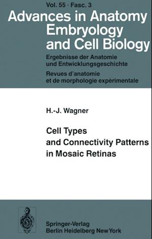 Cell Types and Connectivity Patterns in Mosaic Retinas