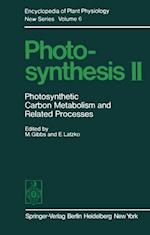 Photosynthesis II