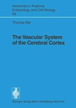 Vascular System of the Cerebral Cortex