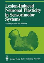 Lesion-Induced Neuronal Plasticity in Sensorimotor Systems