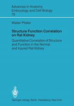 Structure Function Correlation on Rat Kidney