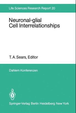 Neuronal-glial Cell Interrelationships