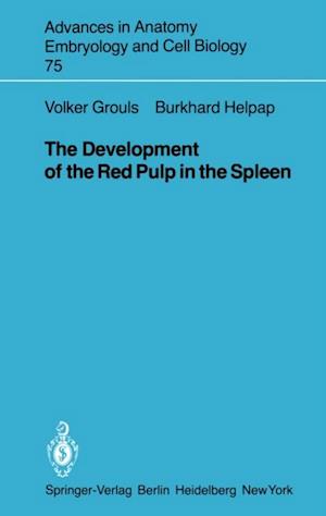 Development of the Red Pulp in the Spleen