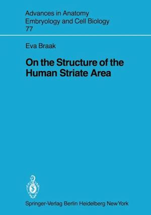 On the Structure of the Human Striate Area