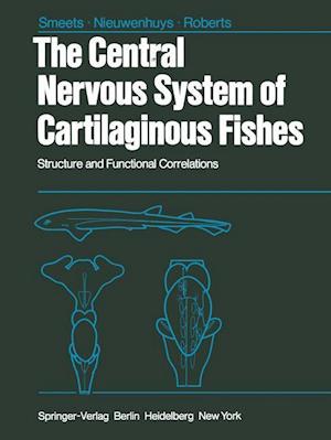 The Central Nervous System of Cartilaginous Fishes