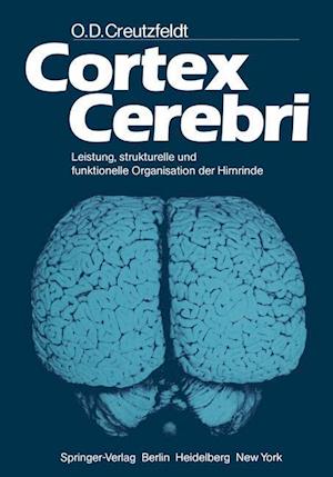 Cortex Cerebri