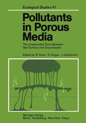 Pollutants in Porous Media