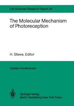 Molecular Mechanism of Photoreception