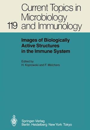 Images of Biologically Active Structures in the Immune System