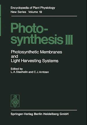 Photosynthesis III