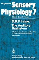 Auditory Brainstem