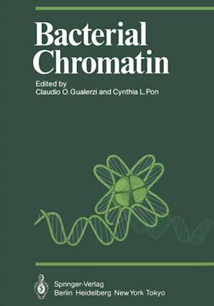 Bacterial Chromatin