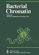 Bacterial Chromatin