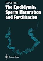 Epididymis, Sperm Maturation and Fertilisation