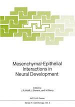 Mesenchymal-Epithelial Interactions in Neural Development