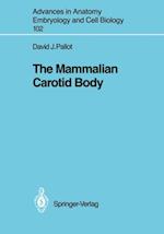 Mammalian Carotid Body