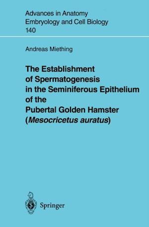 Establishment of Spermatogenesis in the Seminiferous Epithelium of the Pubertal Golden Hamster (Mesocricetus auratus)