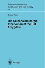 Catecholaminergic Innervation of the Rat Amygdala
