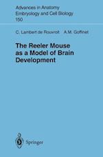 Reeler Mouse as a Model of Brain Development
