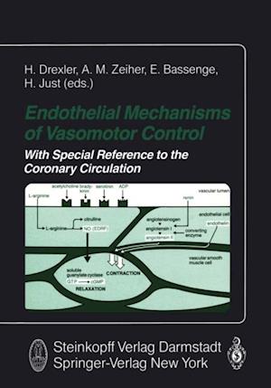 Endothelial Mechanisms of Vasomotor Control