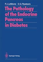 Pathology of the Endocrine Pancreas in Diabetes