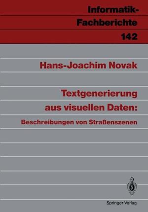 Textgenerierung aus visuellen Daten: Beschreibungen von Straßenszenen