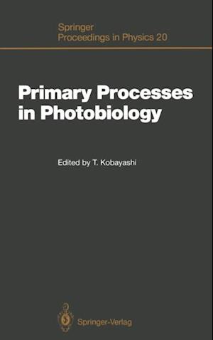 Primary Processes in Photobiology