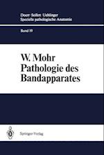 Pathologie Des Bandapparates