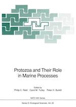 Protozoa and Their Role in Marine Processes