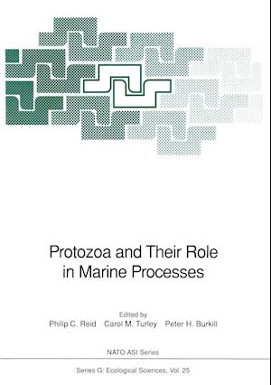 Protozoa and Their Role in Marine Processes