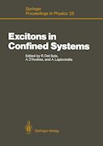 Excitons in Confined Systems
