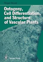 Ontogeny, Cell Differentiation, and Structure of Vascular Plants