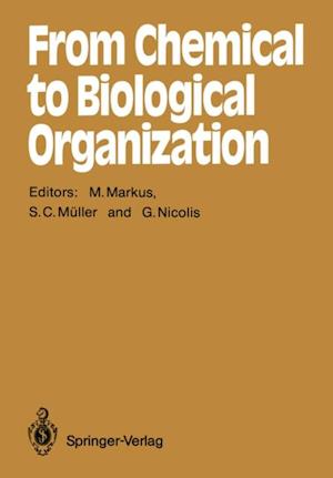 From Chemical to Biological Organization