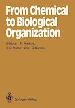 From Chemical to Biological Organization