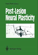 Post-Lesion Neural Plasticity