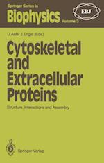 Cytoskeletal and Extracellular Proteins