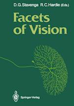 Facets of Vision