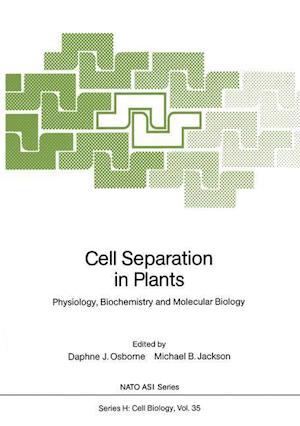 Cell Separation in Plants