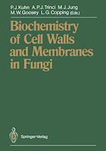 Biochemistry of Cell Walls and Membranes in Fungi