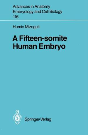 Fifteen-somite Human Embryo